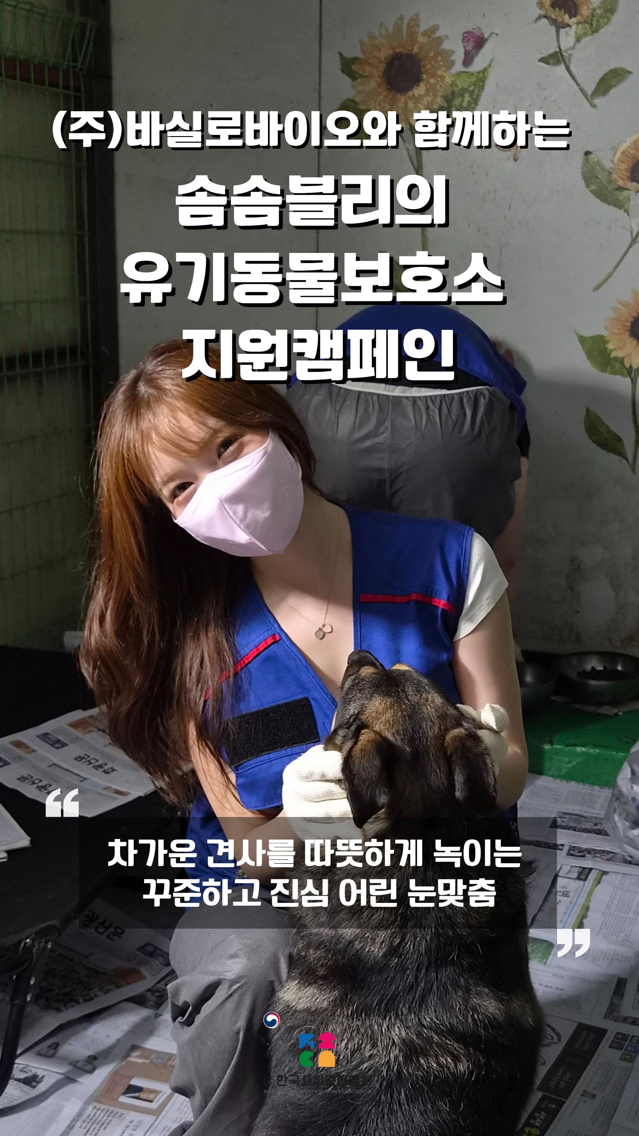 솜솜블리의 유기동물보호소 지원캠페인